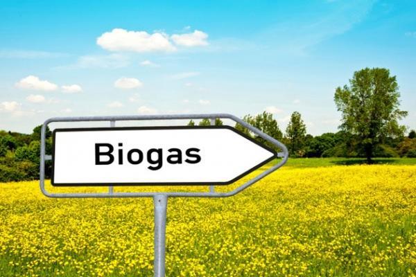 Україна може виробляти до 9,5 млрд кубометрів біогазу на рік з відходів агровиробництва