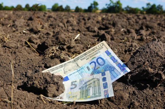 Мінагрополітики підтримує введення мінімального податку на землю на кожен гектар – Лещенко