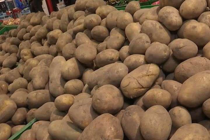 Уряд затвердив порядок надання державної підтримки виробникам картоплі