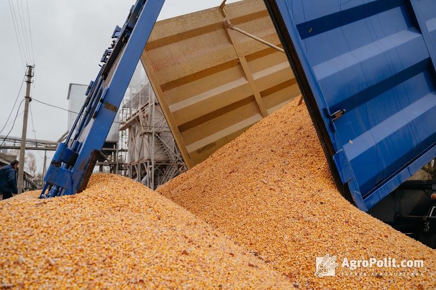 Експорт пшениці 25 млн т: озвучено деталі меморандуму між Мінагрополітики та учасниками зернового ринку