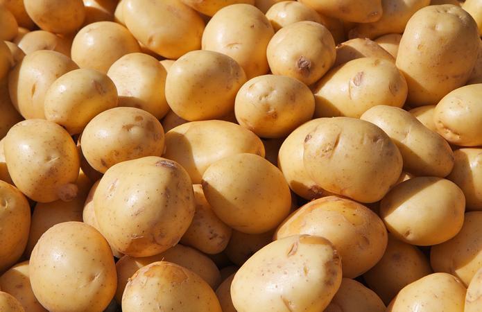  У 2021 році 97% експорту української картоплі припало на Білорусь