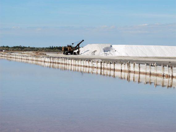 На Херсонщині продали солевий завод за 45 млн грн