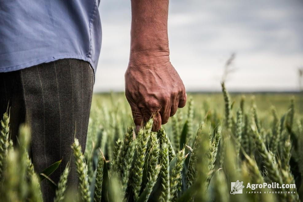 Фермери, які обробляють до 500 га землі, матимуть гарантії від держави для отримання кредитів у фінустановах