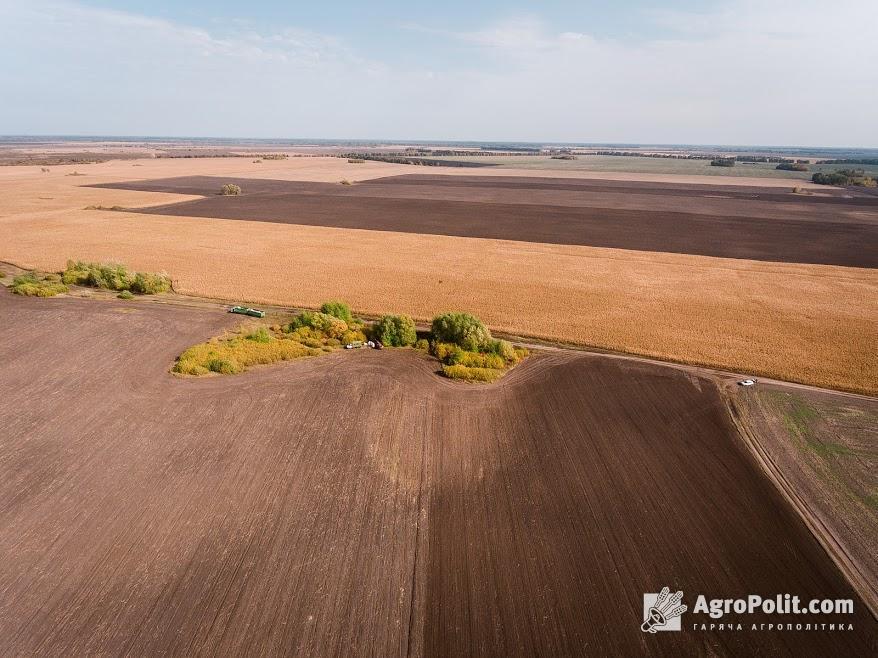 В Україні понад 100 тис. га землі змінили власників за час роботи ринку землі в Україні – Мінагрополітики