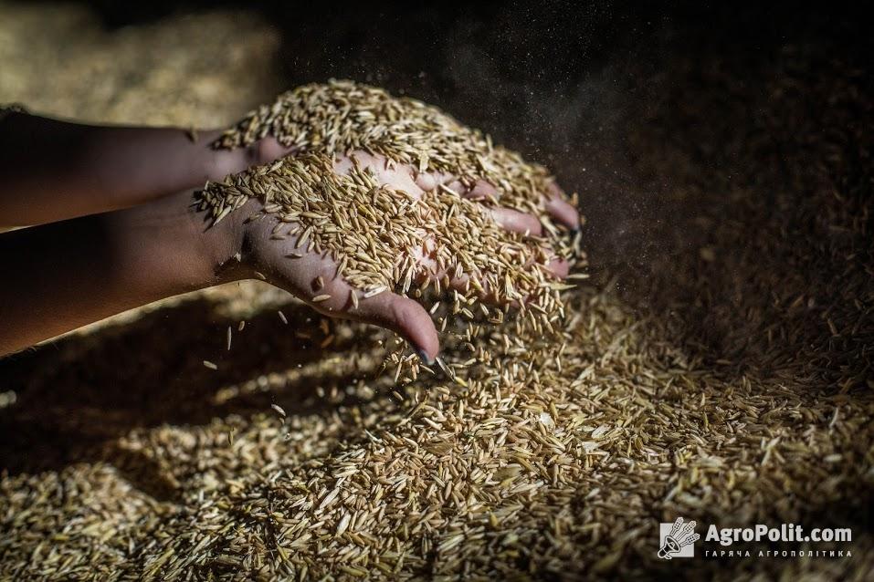 Україна експортувала 21,8 млн т зерна з початку року