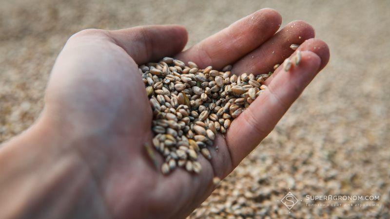 Експорт зернових перевищив 26 млн т – Мінагрополітики