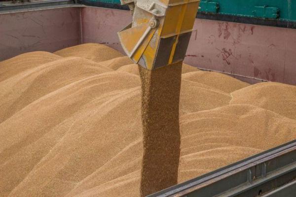 У семи портах України обмежили відвантажування зерна через погодні умови