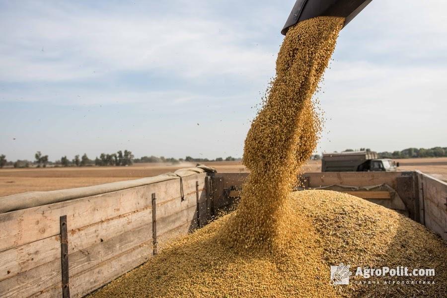 Україна збільшила експорт основних зернових з початку нового сезону