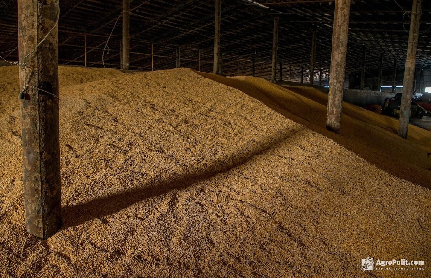 Єгипет закупив 180 тис. т української пшениці на тендері