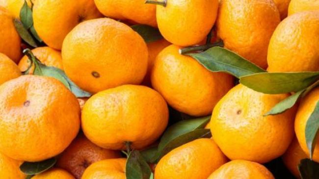 В Україну завезли заражені небезпечним шкідником мандарини