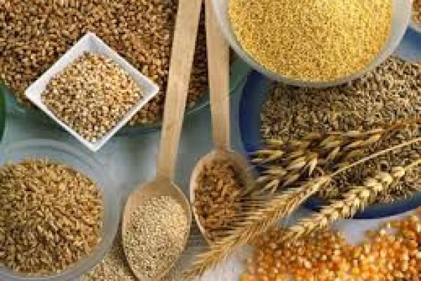На Львівщині виробникам нішевих культур компенсують 50% вартості насіння