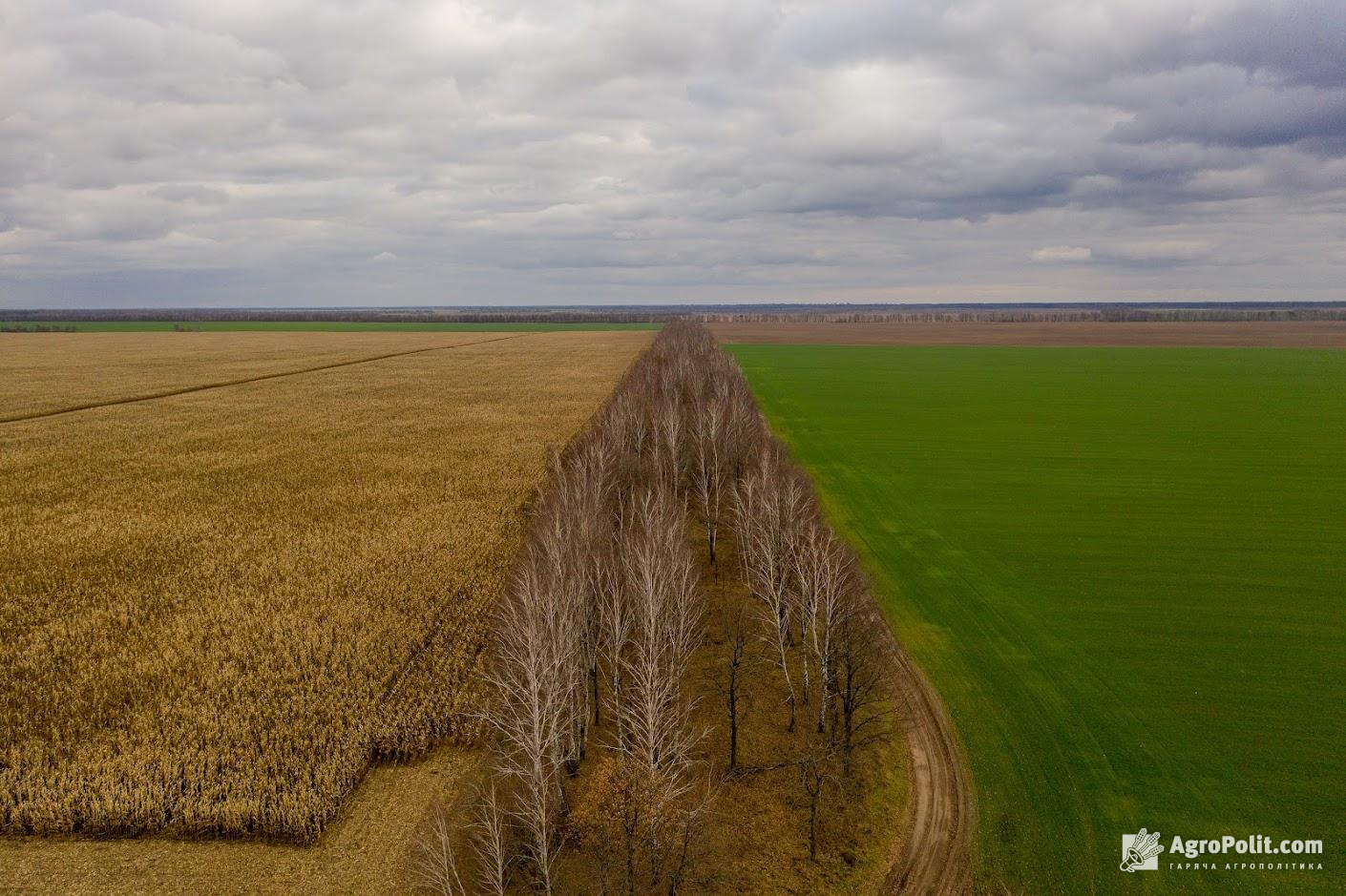 В Україні зміняться правила розроблення робочих проектів землеустрою 