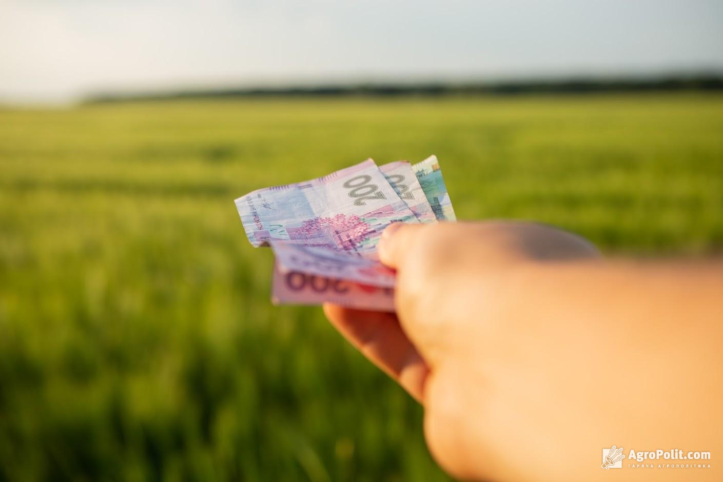 Фермерські господарства в Україні змушені платити двічі за оренду землі