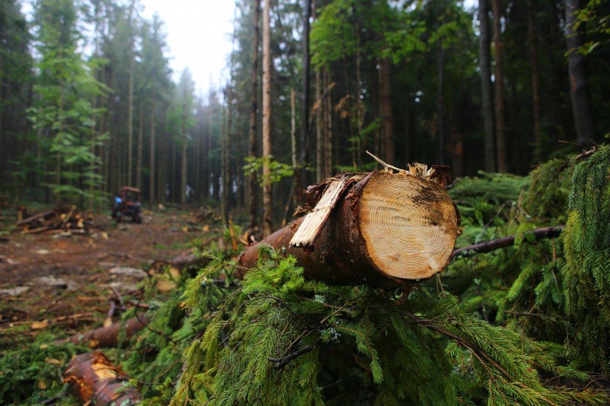 В Україні створили сайт для фіксації екологічних злочинів рф