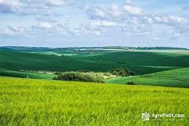 30% українських полів є непридатними для посівної через війну – ООН