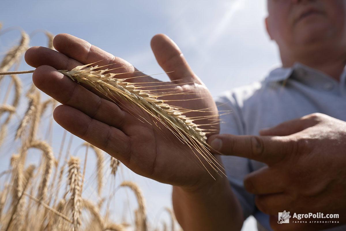 Єврокомісія у серпні-жовтні виділить допомогу для малих сільгоспвиробників — Висоцький