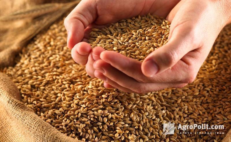 У Мінагрополітики озвучили прогноз доходу від експорту зерна у 2022 році 