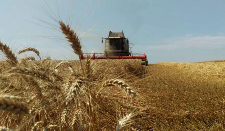В Україні зібрали 23,4 млн тонн нового врожаю