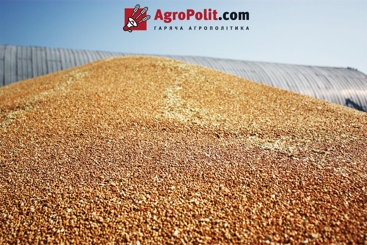 Україна може зібрати 20,5 млн т пшениці у 2022/23 МР — USDA