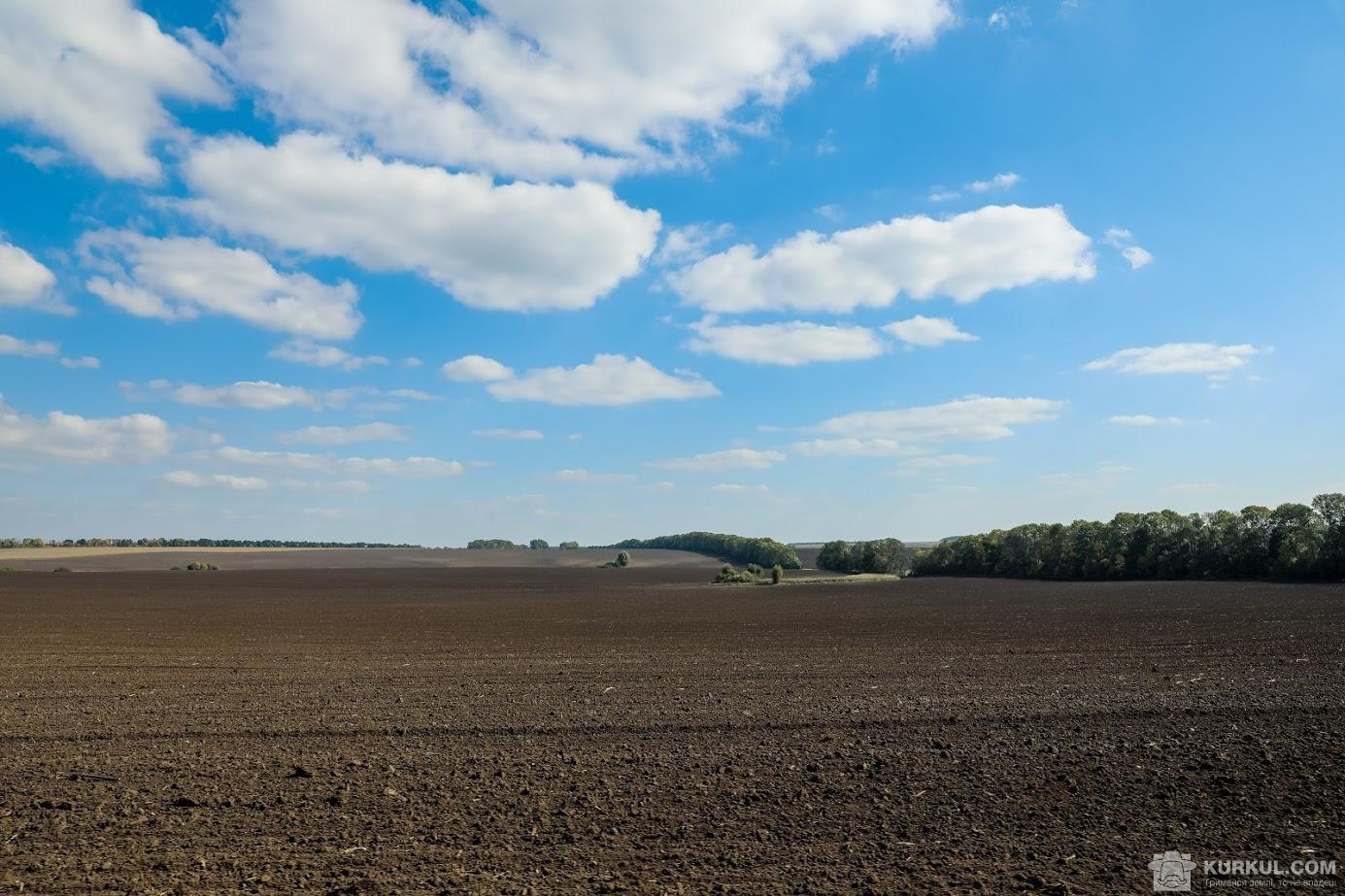 На Херсонщині колаборанти відбирають землю та матеріальні цінності у фермерів