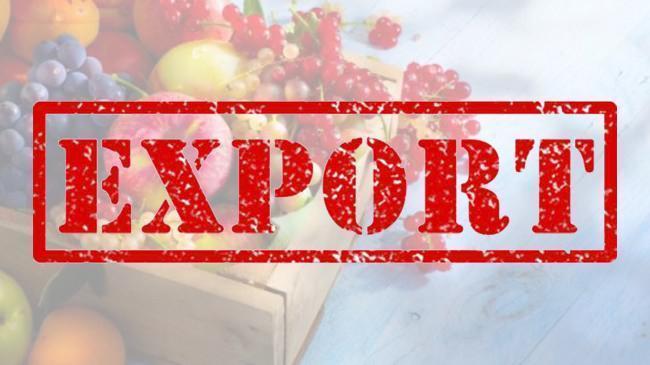 Україна суттєво наростила експорт агропродукції у вересні – Мінагрополітики