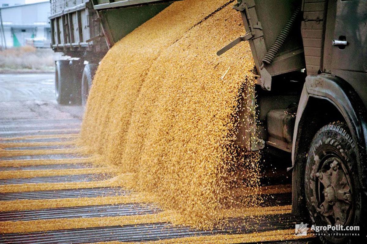 Що буде з експортом пшениці та ячменю з України – прогноз