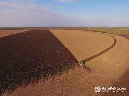 В Україні відновлено торги з набуття права оренди земельних ділянок сільгосппризначення