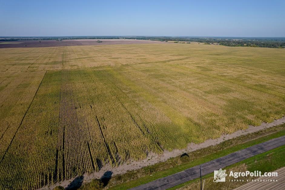 В Україні відновили оформлення прав оренди земельних ділянок сільгосппризначення