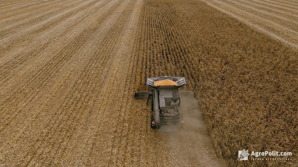 В Україні очікується 67 млн тонн зернових та олійних нового врожаю