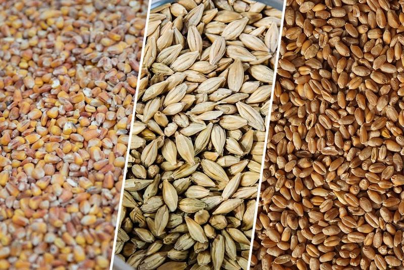 Жнива: аграрії зібрали 43,6 млн тонн зерна