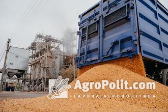 Україна може експортувати до нового врожаю ще 30 млн т зерна