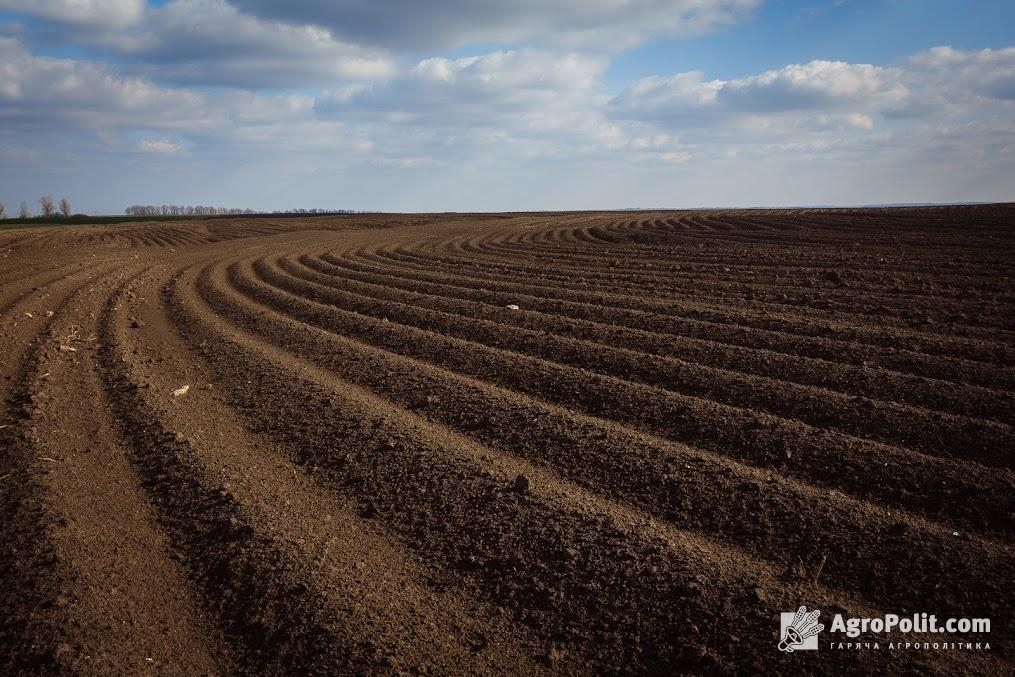 Україна засіє цього року 22 га земель – Мінагро