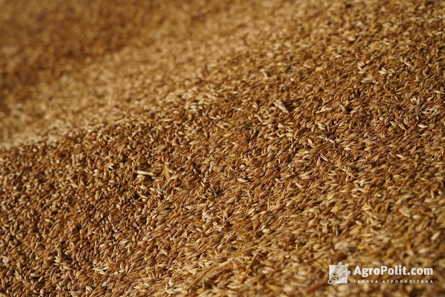 Україна пропонує зробити зернову ініціативу безстроковою 