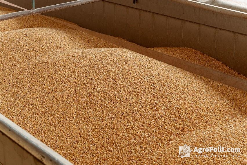 Російські окупанти присвоїли майже 6 млн т пшениці, яка була зібрана на окупованих територіях