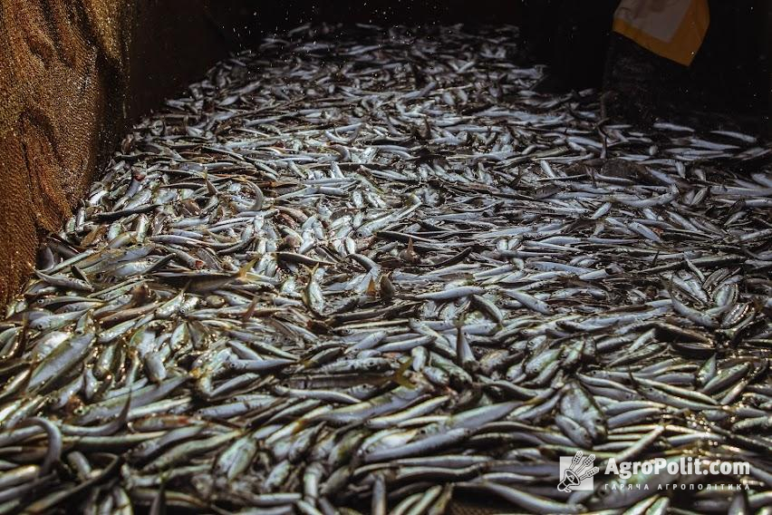 Рибна продукція за останній рік досягла показника обсягу імпорту у $627 млн