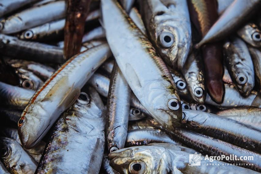 У України є шанс відкрити ринок Китаю для рибної продукції вже в 2023 році