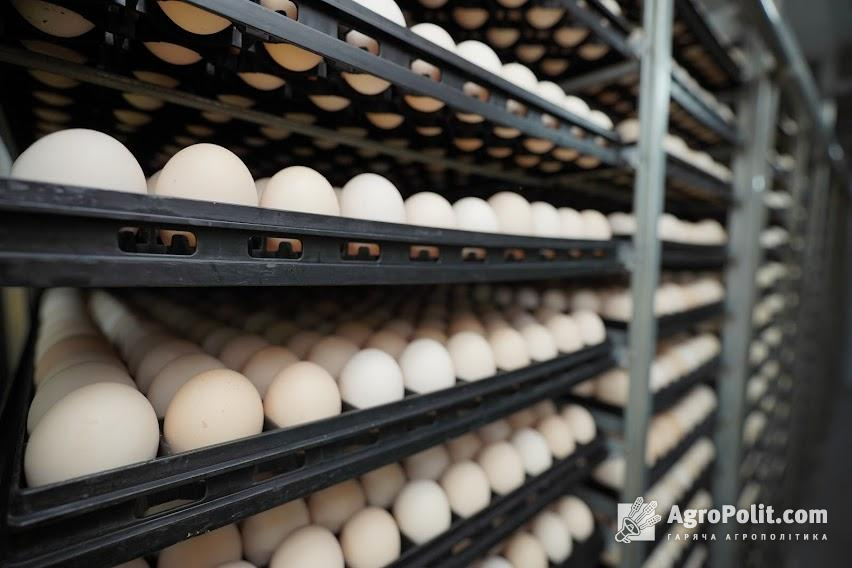 Після Великодніх свят ціни на яйця почнуть поступово знижуватись