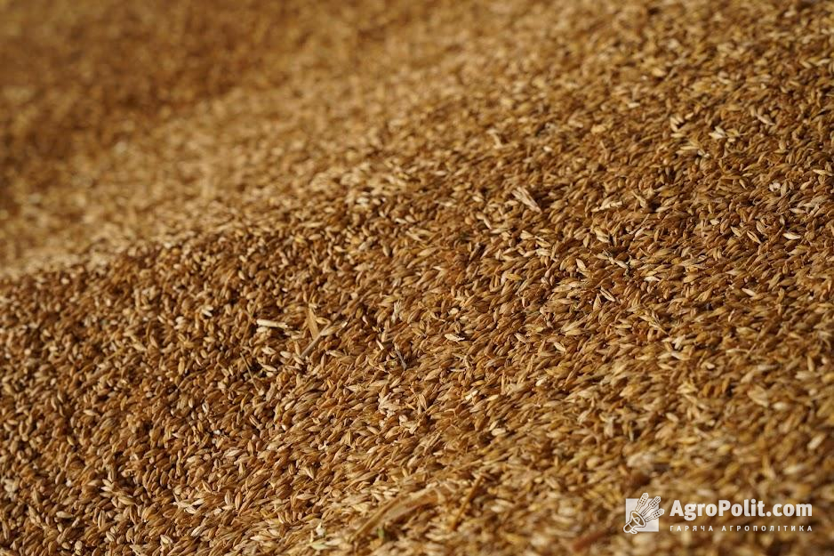 Вперше за останні 50 років українське зерно не принесло фермерам прибуток