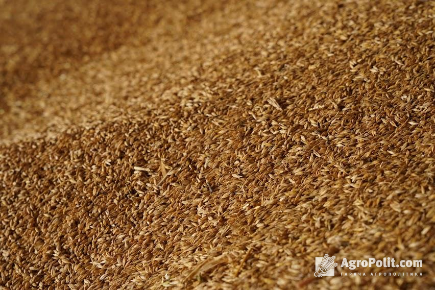 Європейська комісія минулого тижня запропонувала, щоб фермери з ЄС, які постраждали від вільного ввозу української продукції, отримали €56,3 млн. 