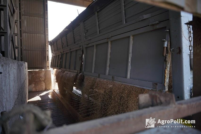 Заборона на імпорт української зернової продукції буде діяти до червня