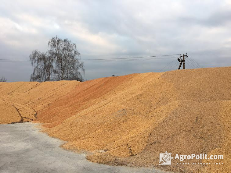 Багато європейських країн брали українське зерно для того, щоб змішати зі своїм