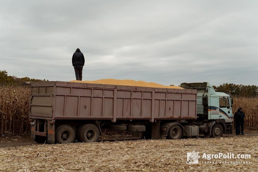 Декілька європейських країн призупинили імпорт зерна, а також інших продовольчих товарів з України
