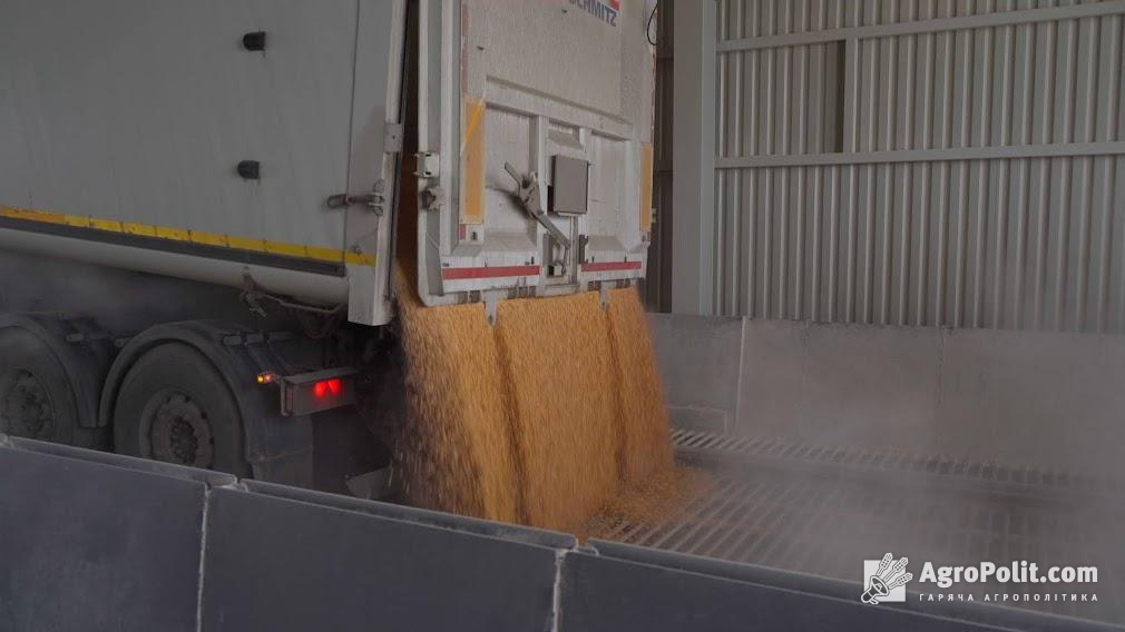 Українська пшениця, ріпак, соняшник та кукурудза до 5 червня не будуть експортуватися до Польщі