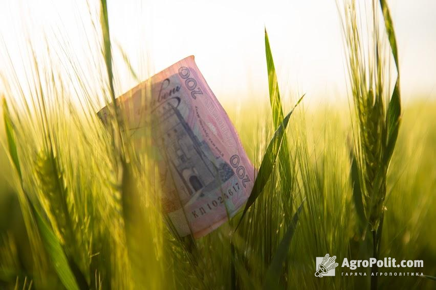 Загальна сума банківських кредитів, які аграрії отримали на розвиток господарств, досягла 30 млрд грн