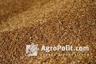 Польща, Угорщина, Словаччина та Болгарія заборонили імпорт зерна з України