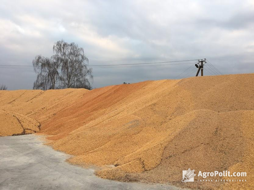 Імпорт сільськогосподарської продукції з України до Словаччини регулюється лише законодавством Євросоюзу,