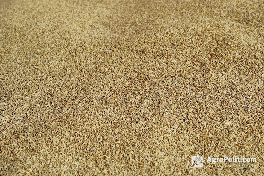 Програма Grain from Ukraine направлена на відправку до держав Азії та Африки 125 тис. т зерна
