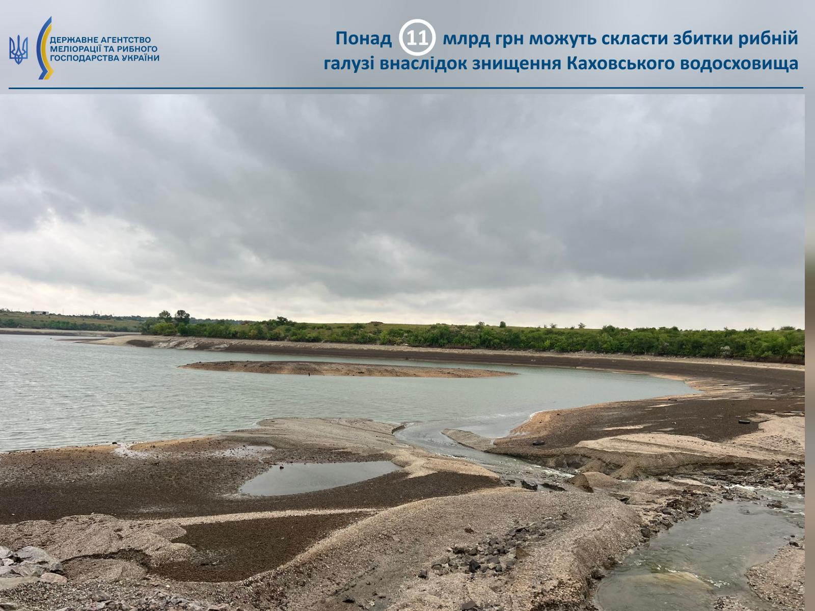 Водойми України щорічно не зможуть отримати зариблення у 16 млн екземплярів цінних видів риб