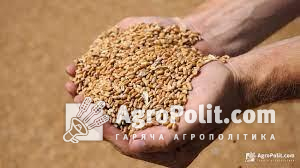 На кінець травня засіяно зернових, зернобобових та олійних культур понад 12,25 млн га