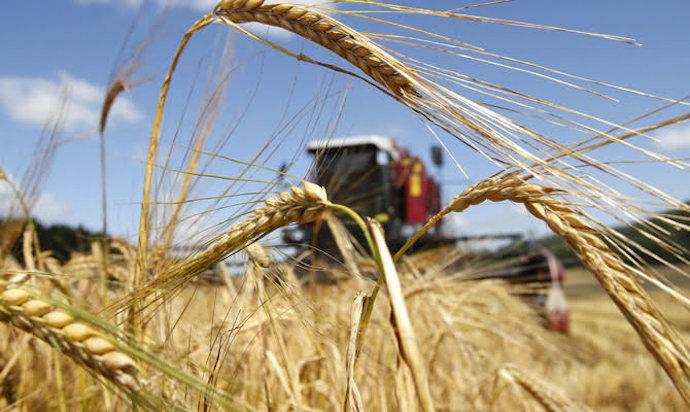 Щодо зерна, там втрати за 2022 рік склали більше 32 млн т врожаю